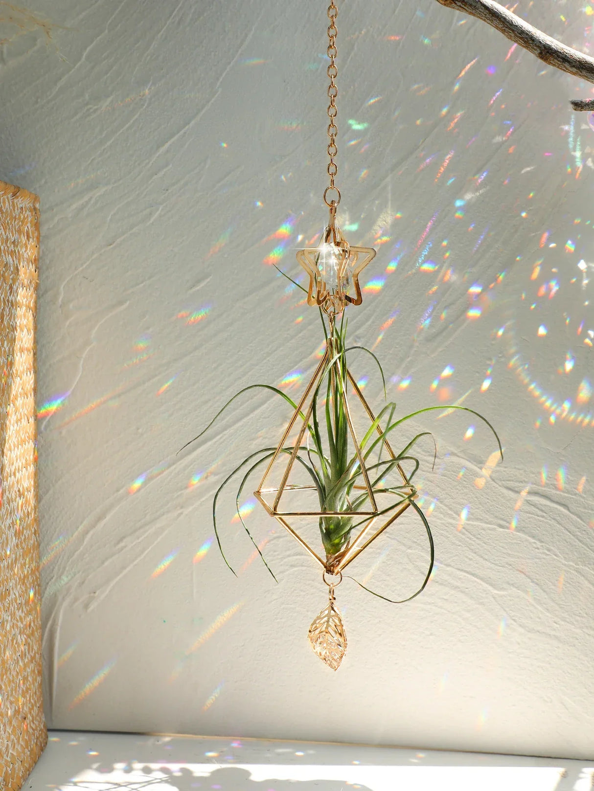 Carvallo Geometrisk Växtställ | Guld Hängande Airplant Hållare | Dekorativ Suncatcher med Kristall för Hem & Trädgård Carvallo