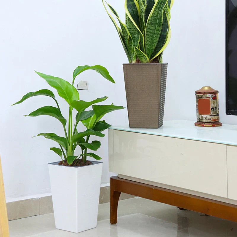 Carvallo StylePot Blumentopf i tegelsten-design | Rektangulär & Hög | Självvattnande med bomullssnöre | 27,2×12×17,5 cm / 17,2×12×8,6 cm Carvallo
