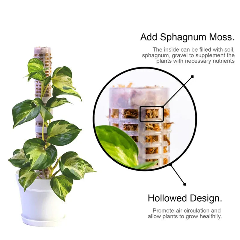 Pillar för klätterväxter och gröna växter – Stödpelare för vertikal växtodling Carvallo