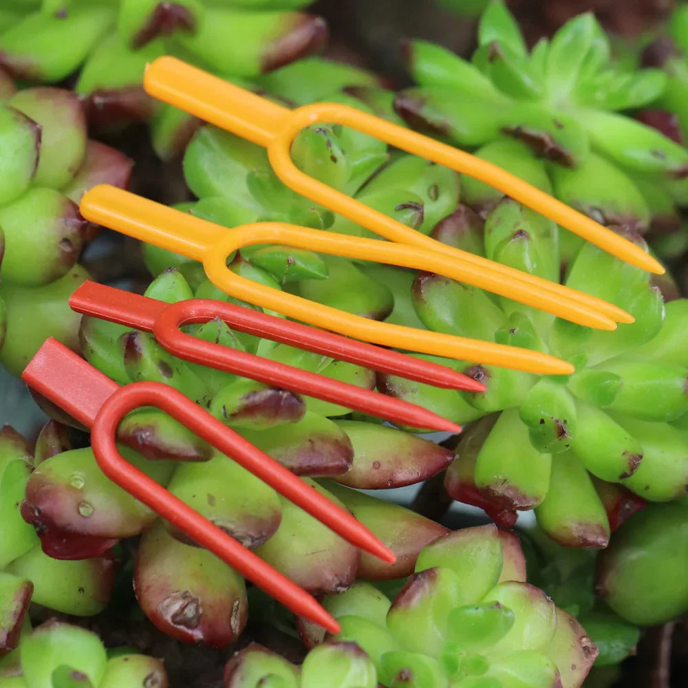 Carvallo | 50-piece set plant stem and vine fixers | 5.5 cm & 6.5 cm | Stable attachment for strawberries, watermelons & climbing plants Carvallo