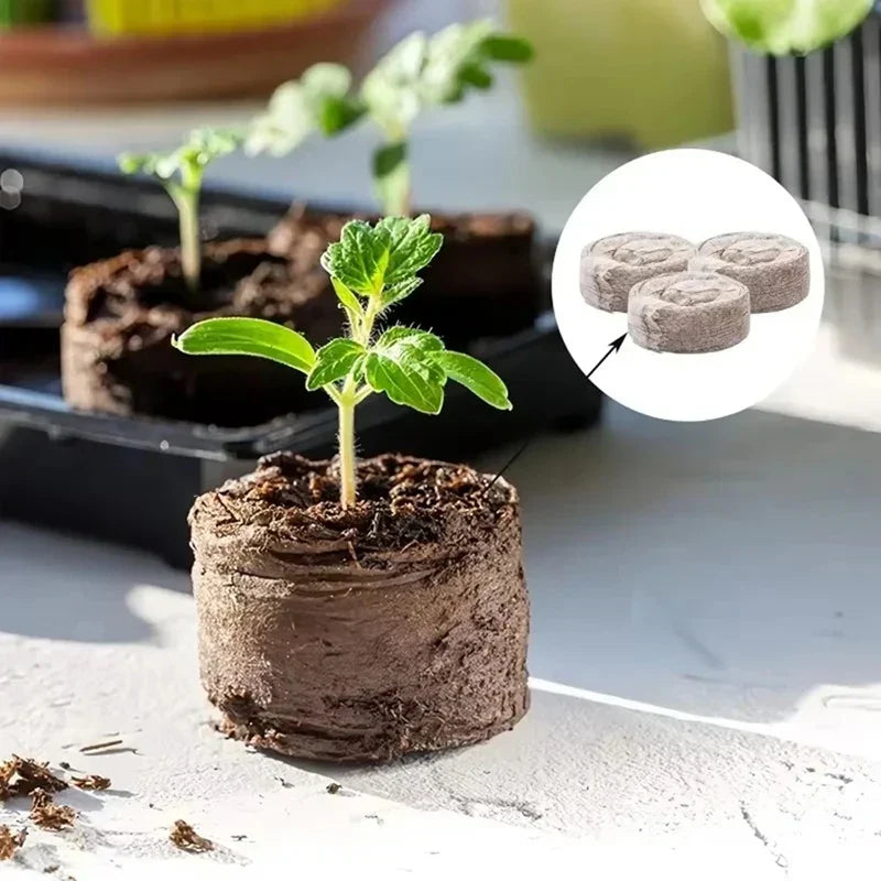 Carvallo 100 stycken kokosbriketter för växtuppdragning | Näringsrik kokosjord | Idealisk för plantor, växthus & hydroponik Carvallo