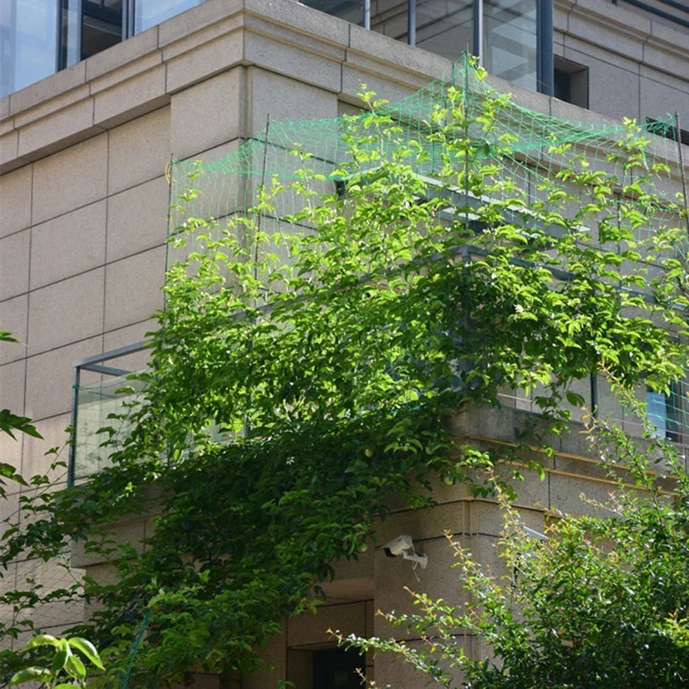 Carvallo Ranknetz för växter | Vindskydd & klätterstöd | För gurkor, vin, blommor & mer – 1 styck Carvallo