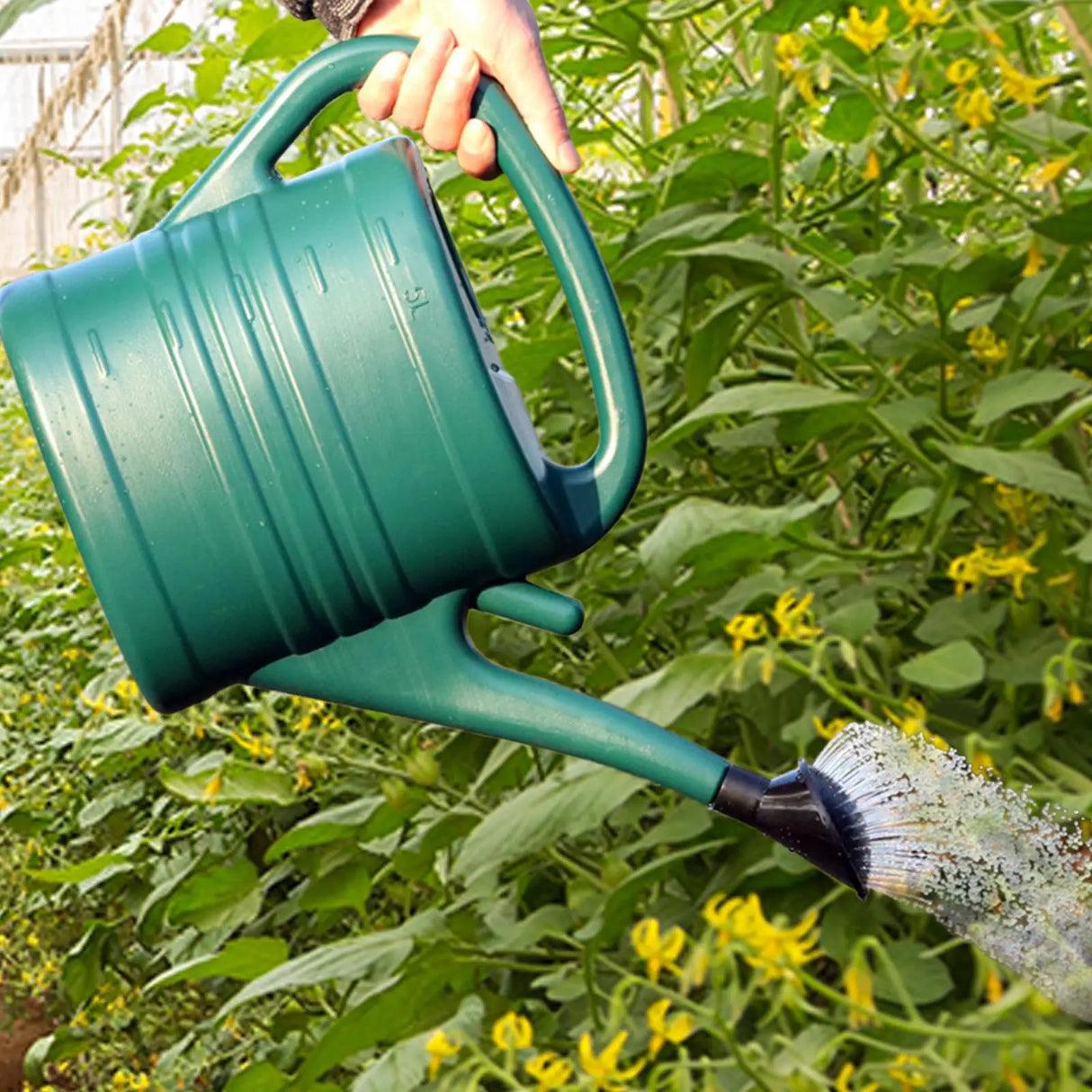 Carvallo Vattenspruta 5L i plast | Lätt & Stabil | För trädgård & inomhusväxter | Med avtagbart duschhuvud Carvallo