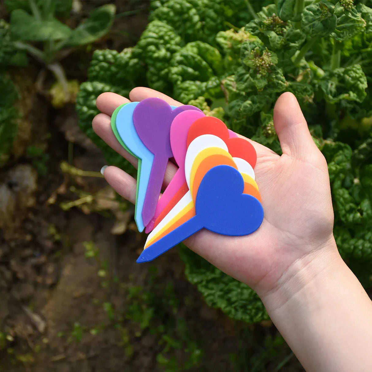 Carvallo Trädgårdsetiketter | 50 stycken | Vattentäta växtskyltar i plast | Återanvändbara | För krukor, rabatter & frön Carvallo