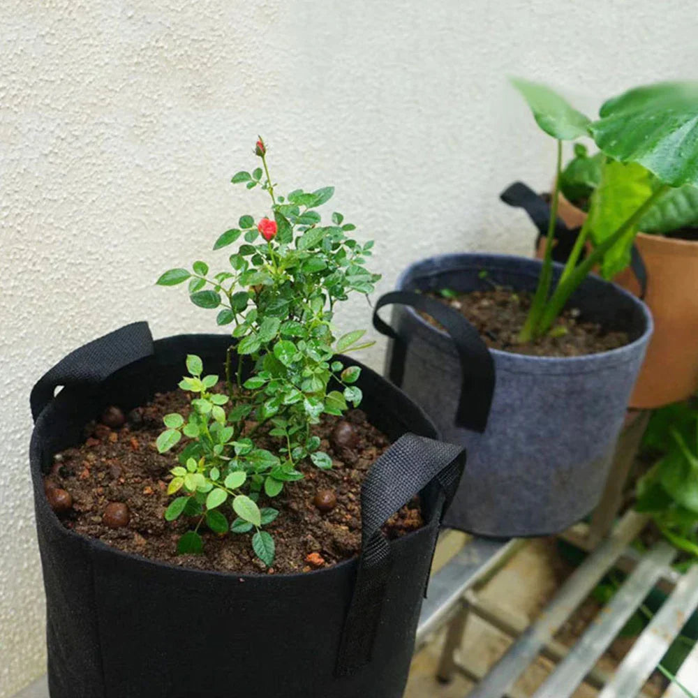 Carvallo Planteringstask 30×25 cm med handtag | 5 gallon | Andningsbar & Återanvändbar | För grönsaker, örter & balkongväxter Carvallo