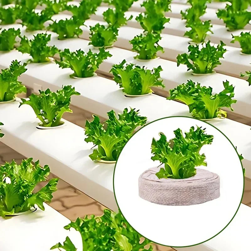 Carvallo 100 stycken kokosbriketter för växtuppdragning | Näringsrik kokosjord | Idealisk för plantor, växthus & hydroponik Carvallo
