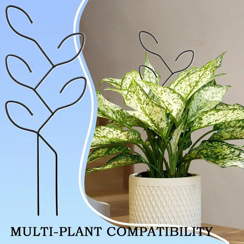 Carvallo Metall-växtstöd för inomhusbruk | Rostfritt & Stabilt | För klätterväxter, blommor & murgröna | Dekorativt bladdesign Carvallo