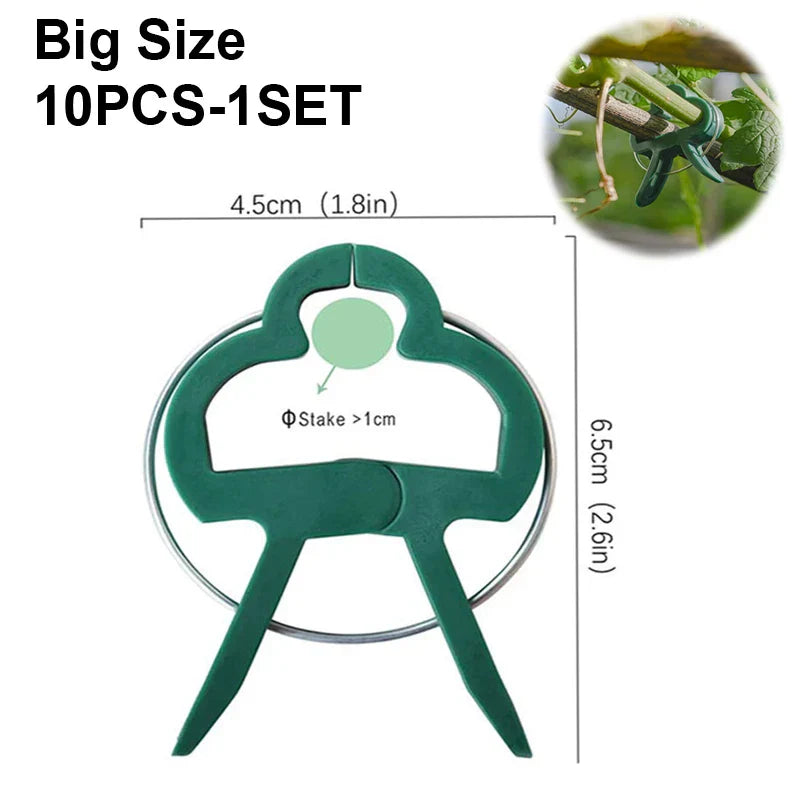 Carvallo växtklipp | Återanvändbara hållare | För tomater, grönsaker & klätterväxter | Stabil & väderbeständig Carvallo