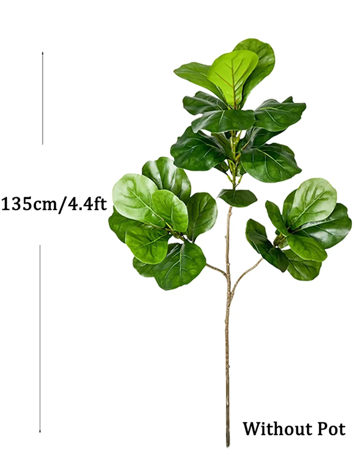 Carvallo Evergrünia | Gummiträd Ficus | 70–135 cm Höjd | Naturtroget utseende för inomhus & utomhus Carvallo