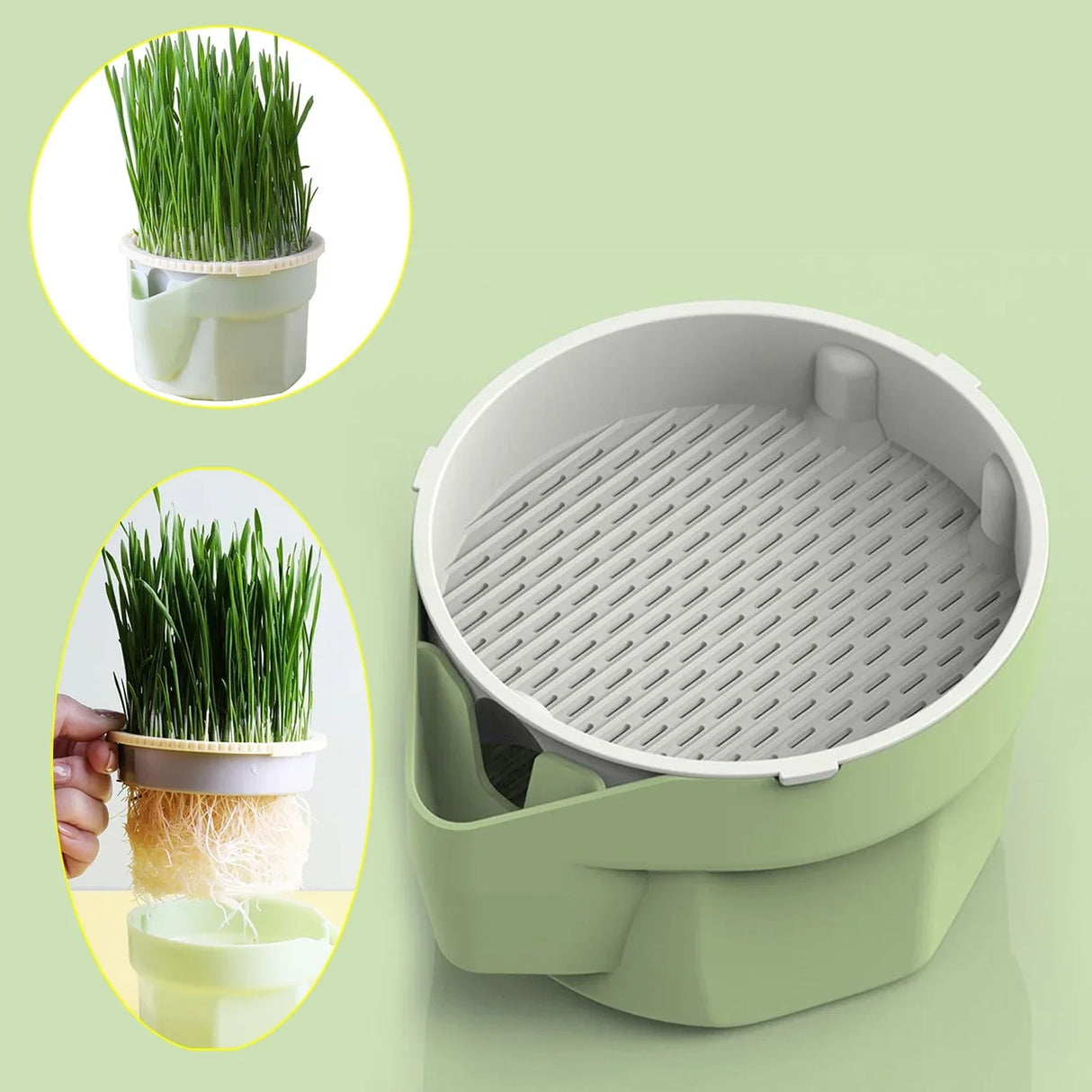 Carvallo Keimschale | Cat Grass Plant Cup | Made of food-safe PP | For wheatgrass, beans & more | Without soil Carvallo