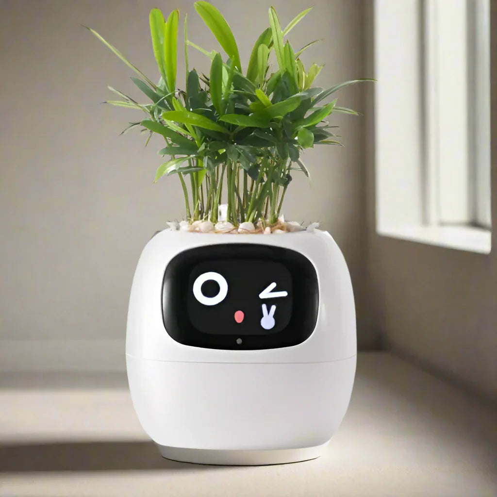 Rayvia Smart Blomkruka med AI-sensorer – Interaktiv Krukväxt för Enkel Växtskötsel Carvallo