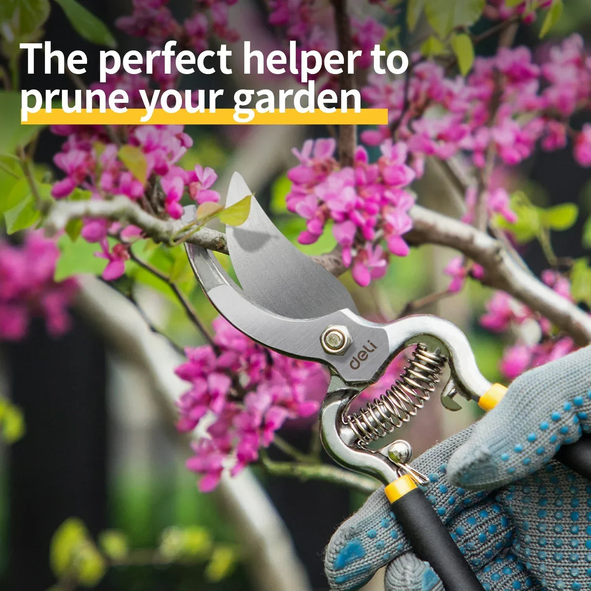 Carvallo PRUNEXA | 21 cm | Kolstål #55 | Precisionsskärning upp till Ø 1 cm Carvallo