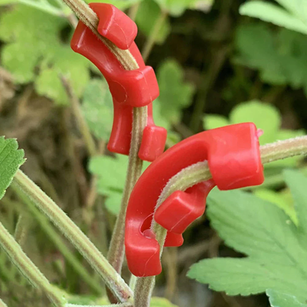 Carvallo växtböjningsklipp 90° | Tillväxttränare för grenar & skott | 10–50 stycken | Låg stress-träning för högre avkastning Carvallo