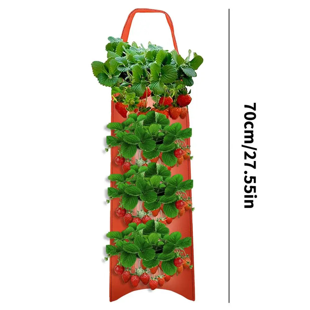 Carvallo Planter bag with 4/6/8/10 openings | Hanging & Breathable | For strawberries, tomatoes & herbs | Durable canvas fabric Carvallo