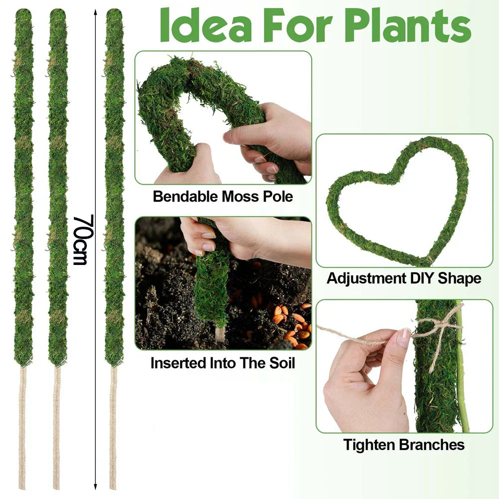 Carvallo MossPole Böjliga mossa stöd för växter | Handgjord klättringshjälp för Monstera & inomhusväxter | 45 × 3 cm Carvallo