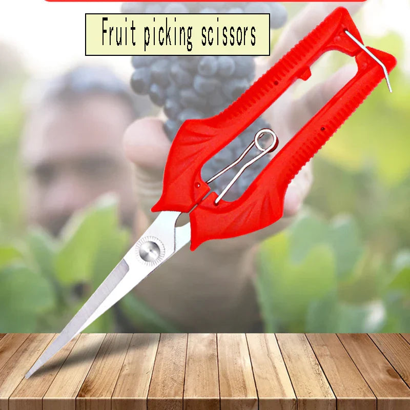 Carvallo Gräsklippare | Precisa klippning för fruktträd & bonsai | Ergonomisk & Vass | För skörd & beskärning Carvallo