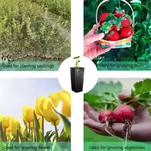 Carvallo DeepGrow Krukor Planter Krukor Höga & Fyrkantiga | 10/25-set | Med dräneringshål | Svart | 20x10x7 cm Carvallo