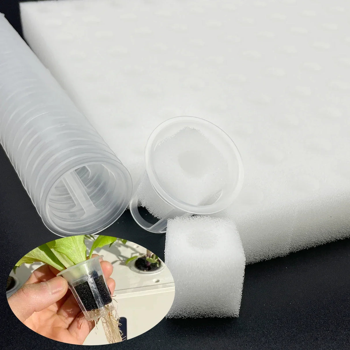 Carvallo Anzuchtsvampmatta | 100 Såhål | För hydroponik & grodd | Vattenabsorberande & rotfrämjande | 25 × 25 cm Carvallo