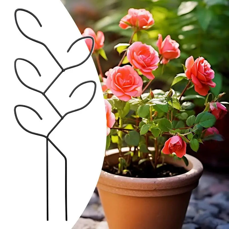 Carvallo Metall-växtstöd för inomhusbruk | Rostfritt & Stabilt | För klätterväxter, blommor & murgröna | Dekorativt bladdesign Carvallo