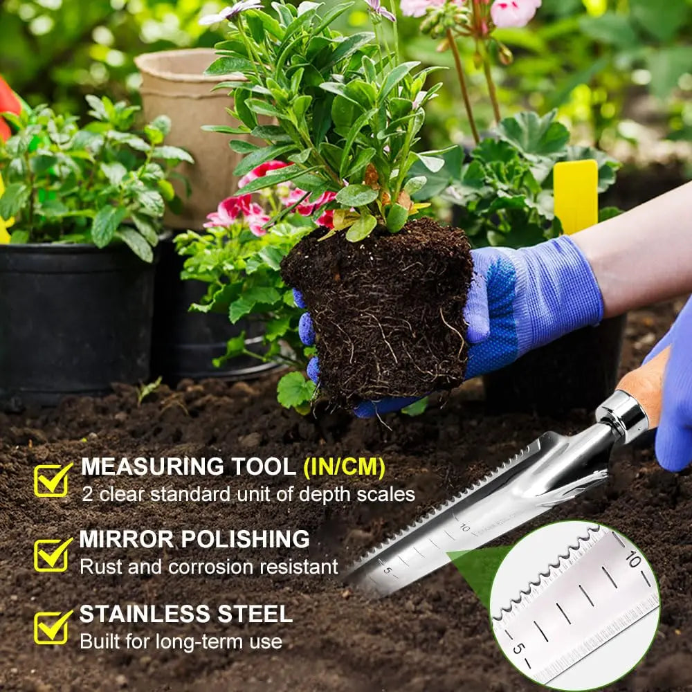 Carvallo Classic | Ogräsvettare med trähandtag | Handjägare i rostfritt stål | För fogar, rabatter och trädgårdsskötsel Carvallo