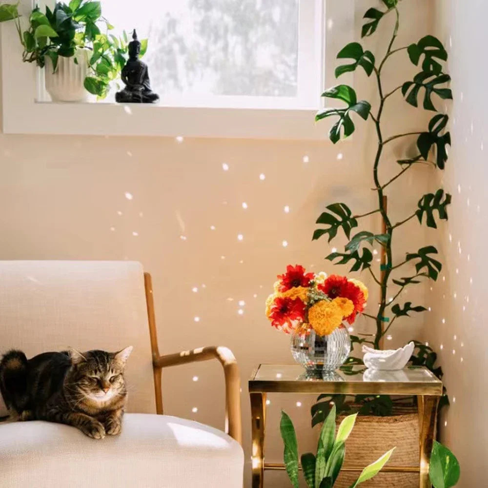 Carvallo Disco växtupphängare | Retro växtbehållare med spegelboll | För inomhus & utomhus | Handgjord med kedja & träring Carvallo