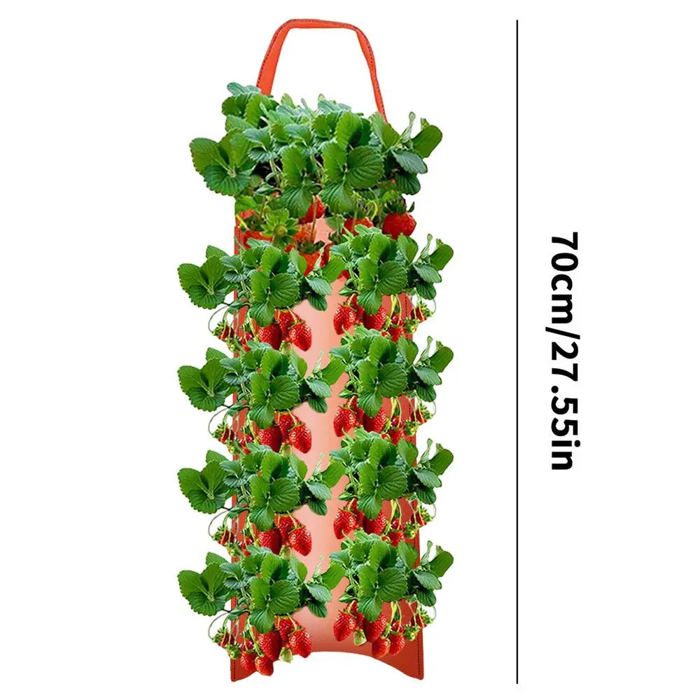 Carvallo Planter bag with 4/6/8/10 openings | Hanging & Breathable | For strawberries, tomatoes & herbs | Durable canvas fabric Carvallo