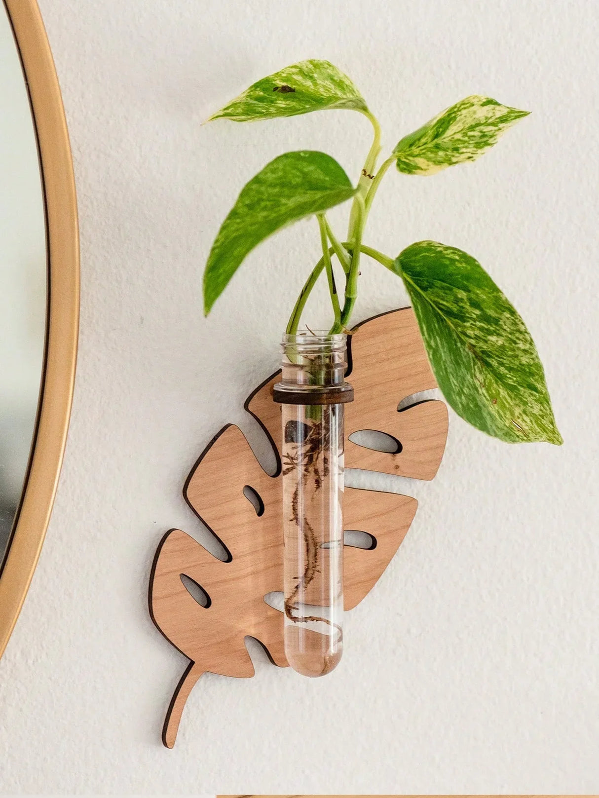 Carvallo väggvaser i blommönster med provrör | 1/2 styck träväggdekoration för växter och sticklingar | Handgjorda växt hållare för vardagsrum, hall och kontor Carvallo