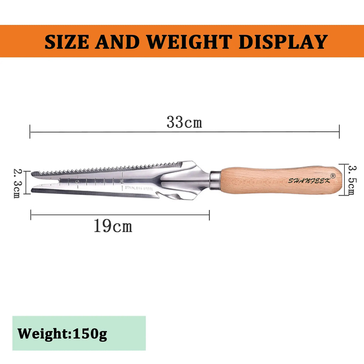 Carvallo Classic | Ogräsvettare med trähandtag | Handjägare i rostfritt stål | För fogar, rabatter och trädgårdsskötsel Carvallo