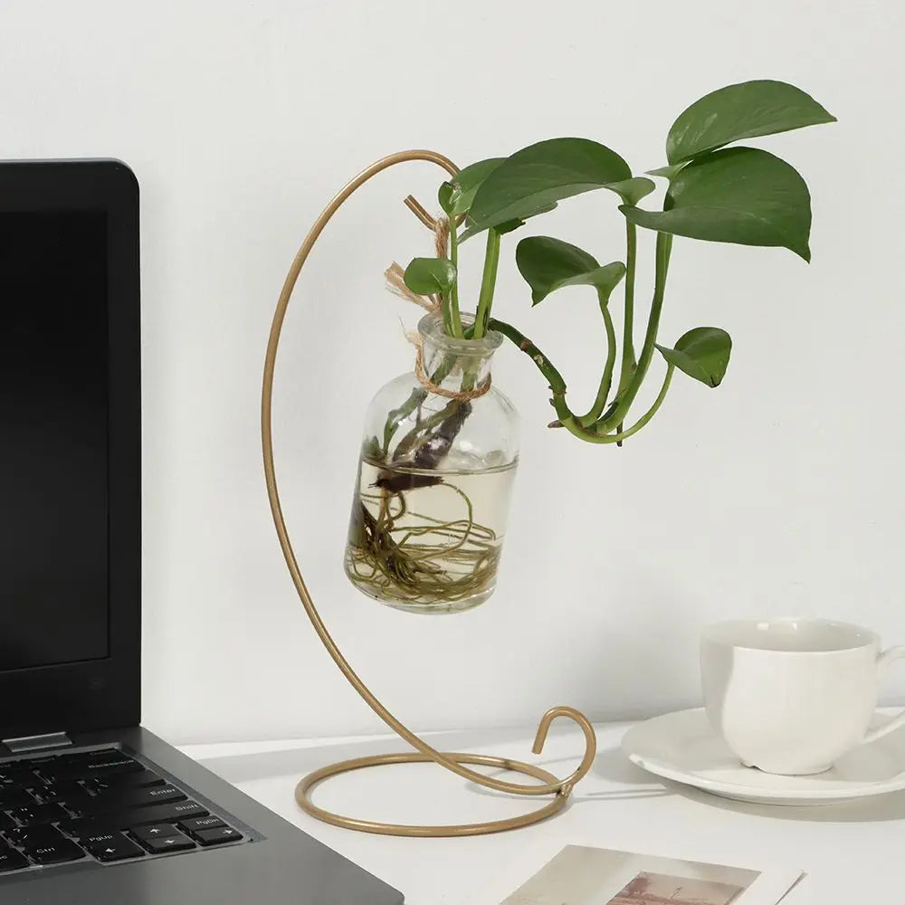 Carvallo-Halter LunaLoop Hängeständer | För glaskulor, ljuslyktor & växter | Metall med lackbeläggning Carvallo