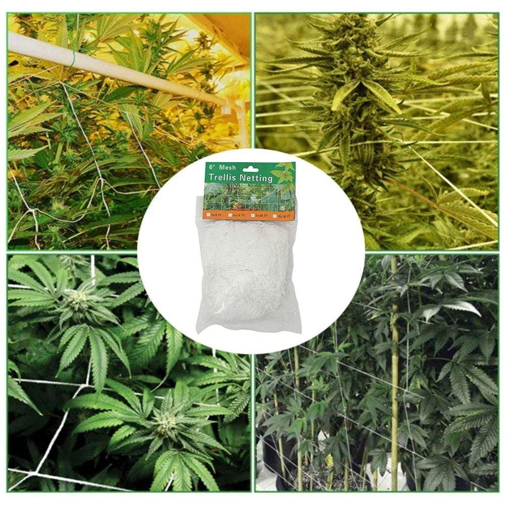 Carvallo Växter-Klätternät 10 m | Robust & UV-beständigt | Platsbesparande Stöd för Grönsaker & Blommor Carvallo