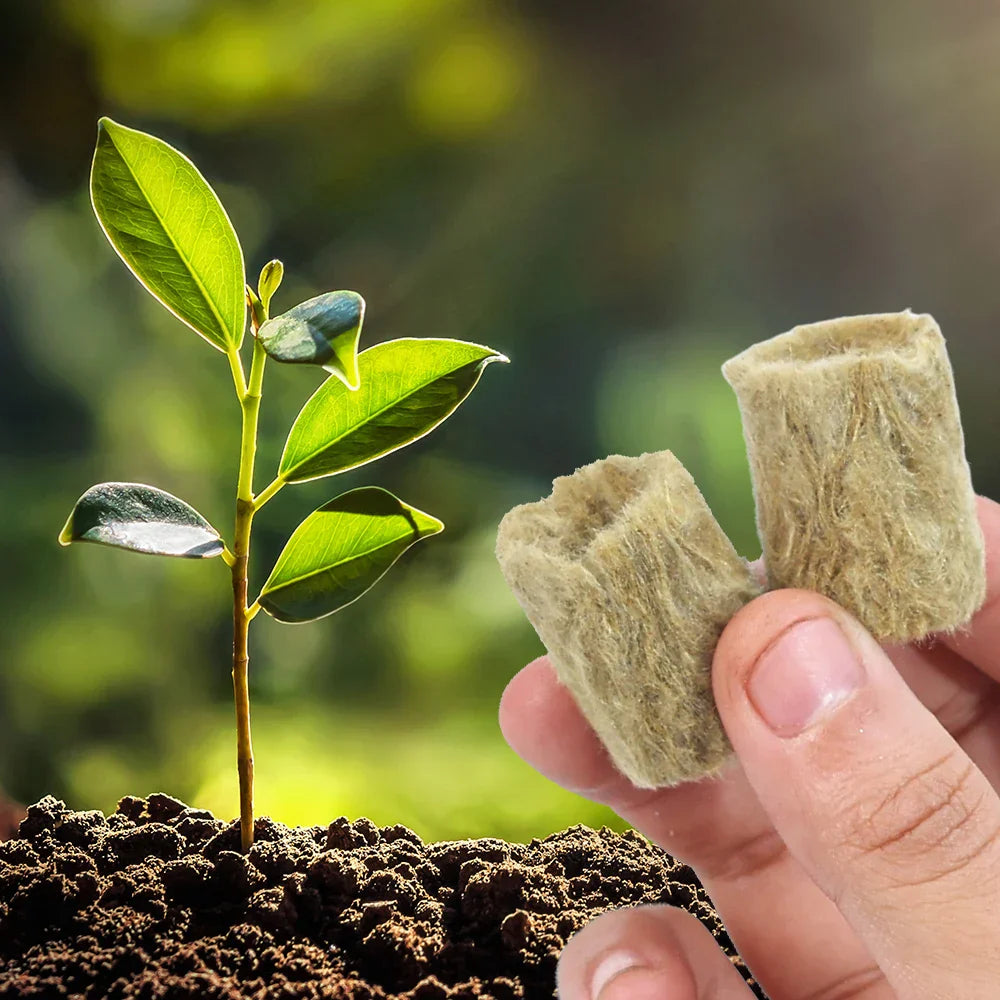 Carvallo Rootify StonePlugs | Stenullsubstrat för sticklingar & hydroponik | 10–200 stycken | Ø 2 × 2,7 cm Carvallo