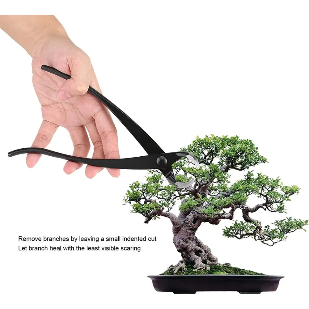 Carvallo Bonsai Konkavschneider 21 cm | Höghållfast kolfiberstål | För grenar, knoppar och utväxter Carvallo
