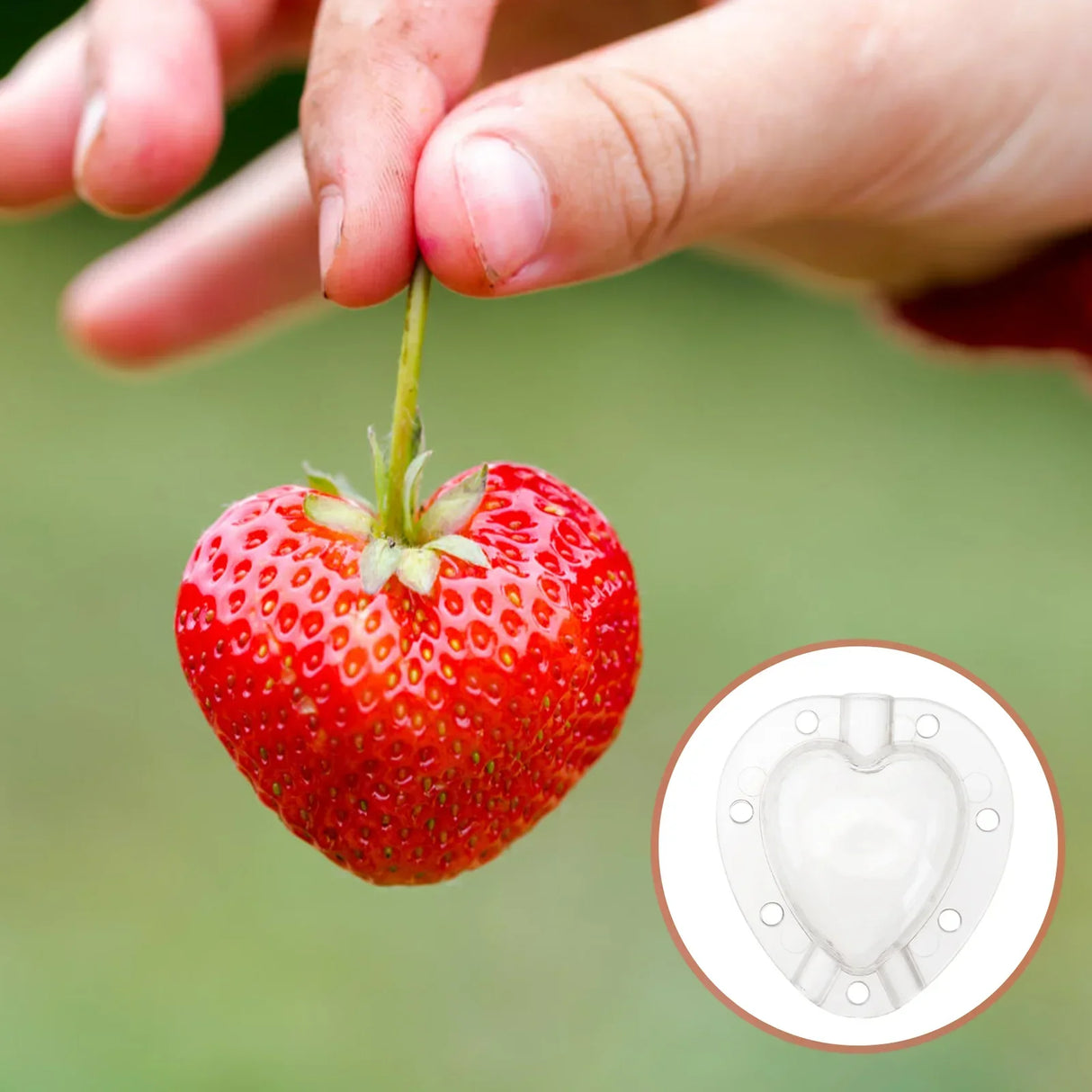 Hjärta form grönsaksform – Kreativ formskål för grönsaker och frukt Carvallo