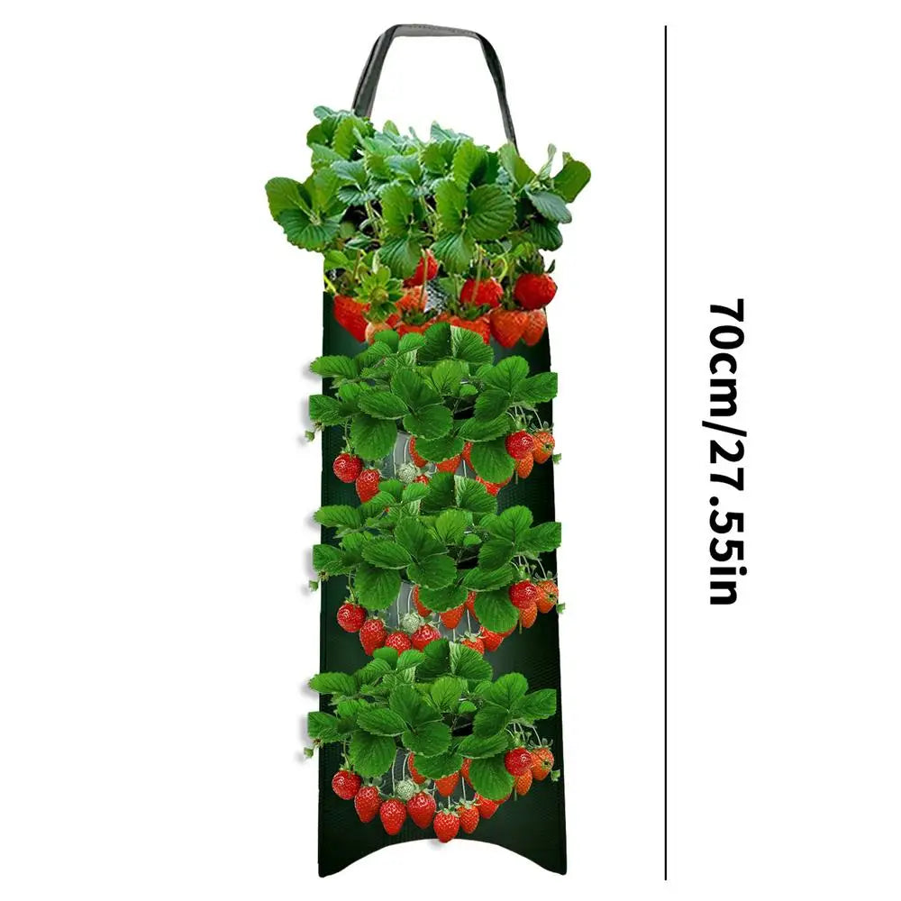 Carvallo Planter bag with 4/6/8/10 openings | Hanging & Breathable | For strawberries, tomatoes & herbs | Durable canvas fabric Carvallo