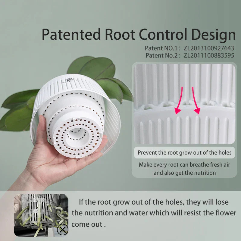 Carvallo Orchid Pot | Ventilerad planteringskruka med dräneringshål | 12 cm | Robust PP-material för inomhus och utomhus Carvallo
