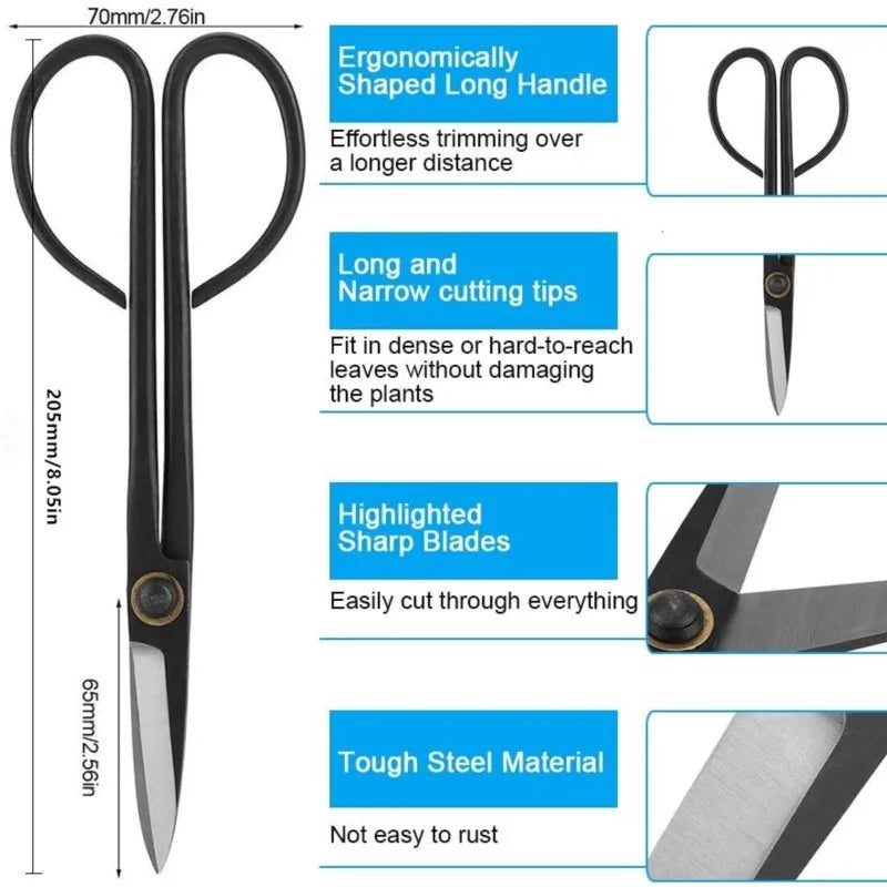 Carvallo 21 | Bonsai-sax med långt handtag | 21 cm | Precision klippning för växter & grenar Carvallo