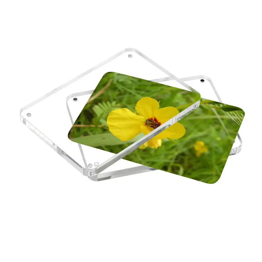 Magnetiska akryl fotoramar 5-pack Carvallo