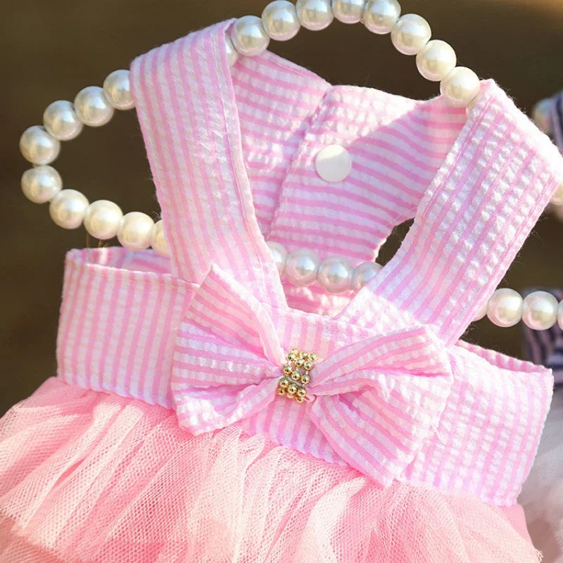 Carvallo | Sommarklänning för hundar & katter | Luftig prinsessdesign | Spetskjol för Chihuahua & valpar | XS–XXL Carvallo