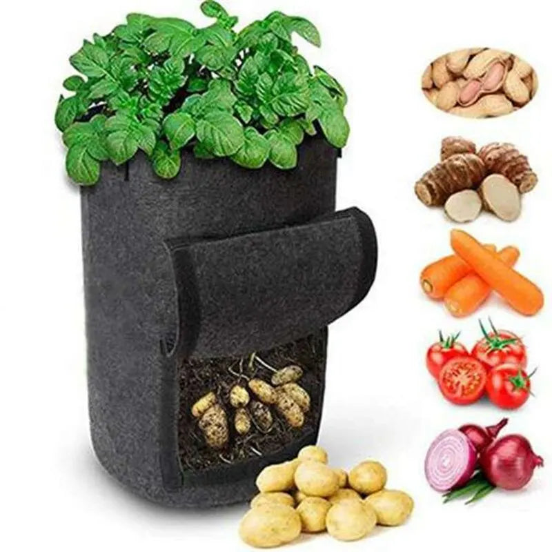 Carvallo RootView Garden | Filtt planteringsväska med fönster | 5/7 gallon | För potatis, grönsaker & örter | Andningsbar & Återanvändbar Carvallo