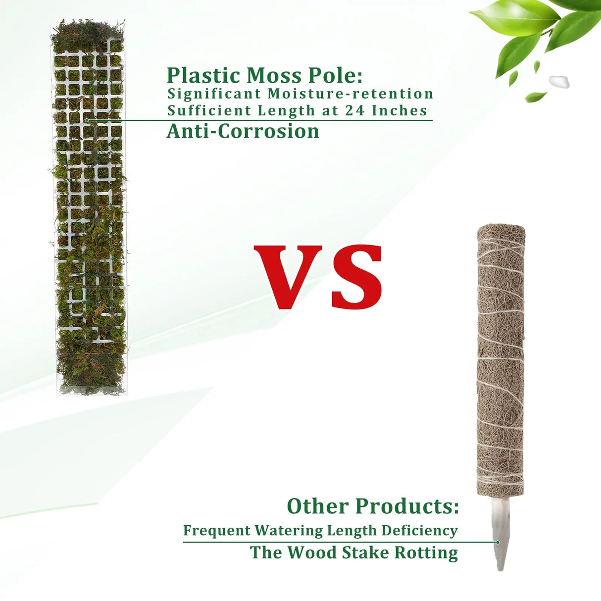 Carvallo Moosstav-Set för klätterväxter | Transparent PVC växtstöd | Inomhus & Utomhus Carvallo