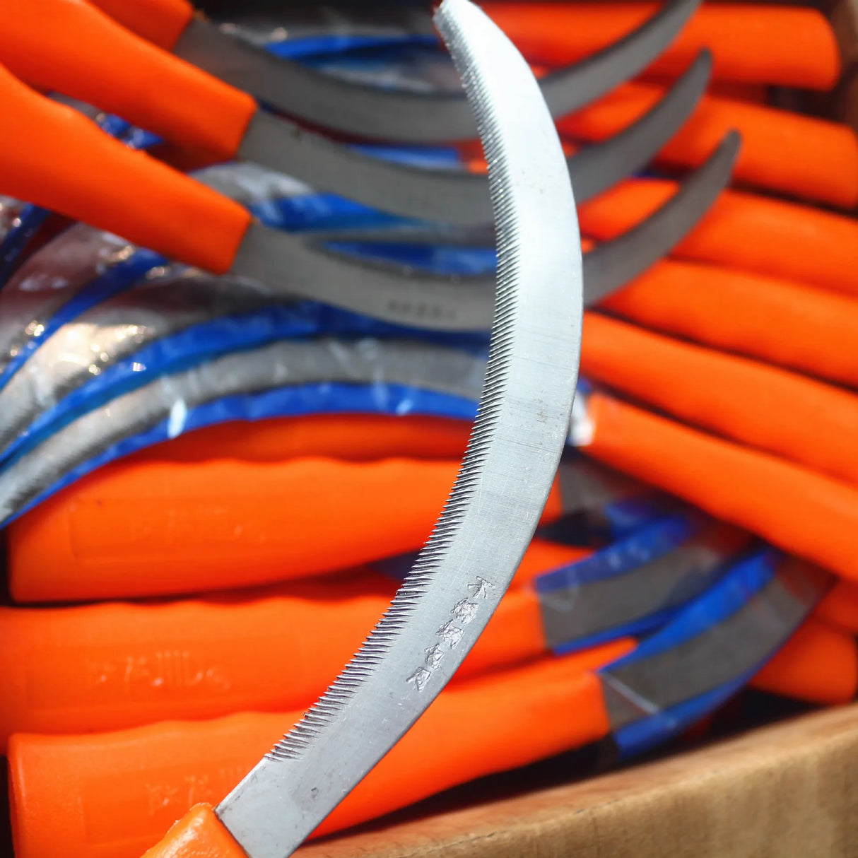 Carvallo ogräs skära i rostfritt stål | Tandad skärkant | För skörd & trädgårdsarbete | 30 cm Carvallo