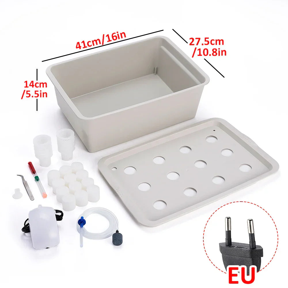 Carvallo Planter Set GrowPure 12 | 12-Chamber System with Pump | 220 V | For Herbs, Vegetables & Seedlings | 41×27,5×14 cm Carvallo