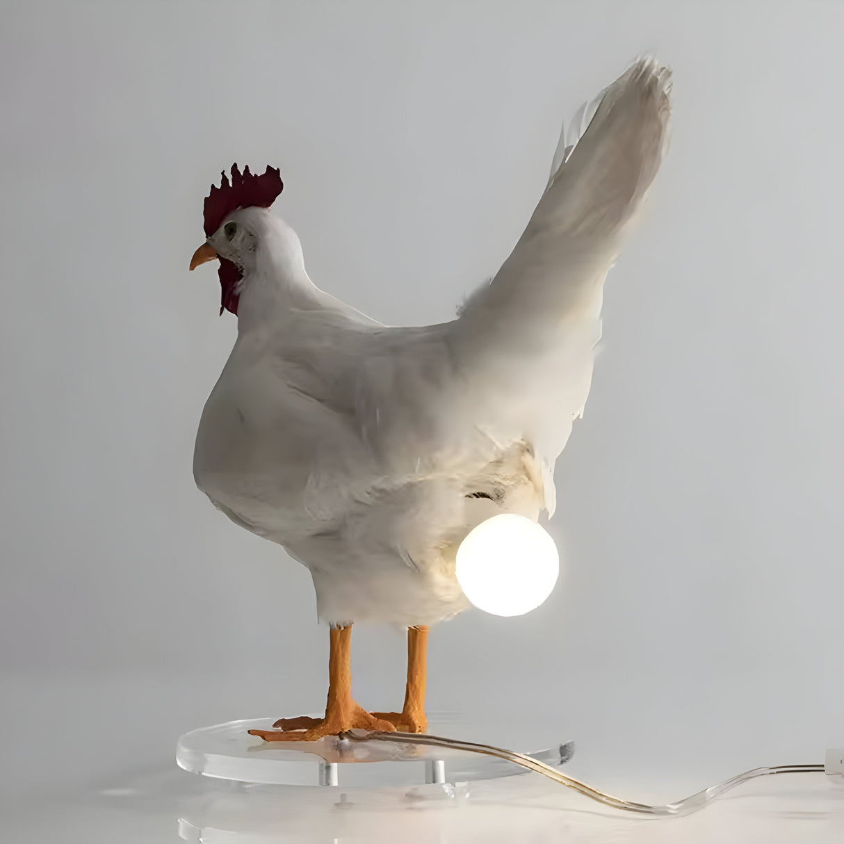 ChickGlow Ljus – Höns LED Bord-Nattlampa Carvallo