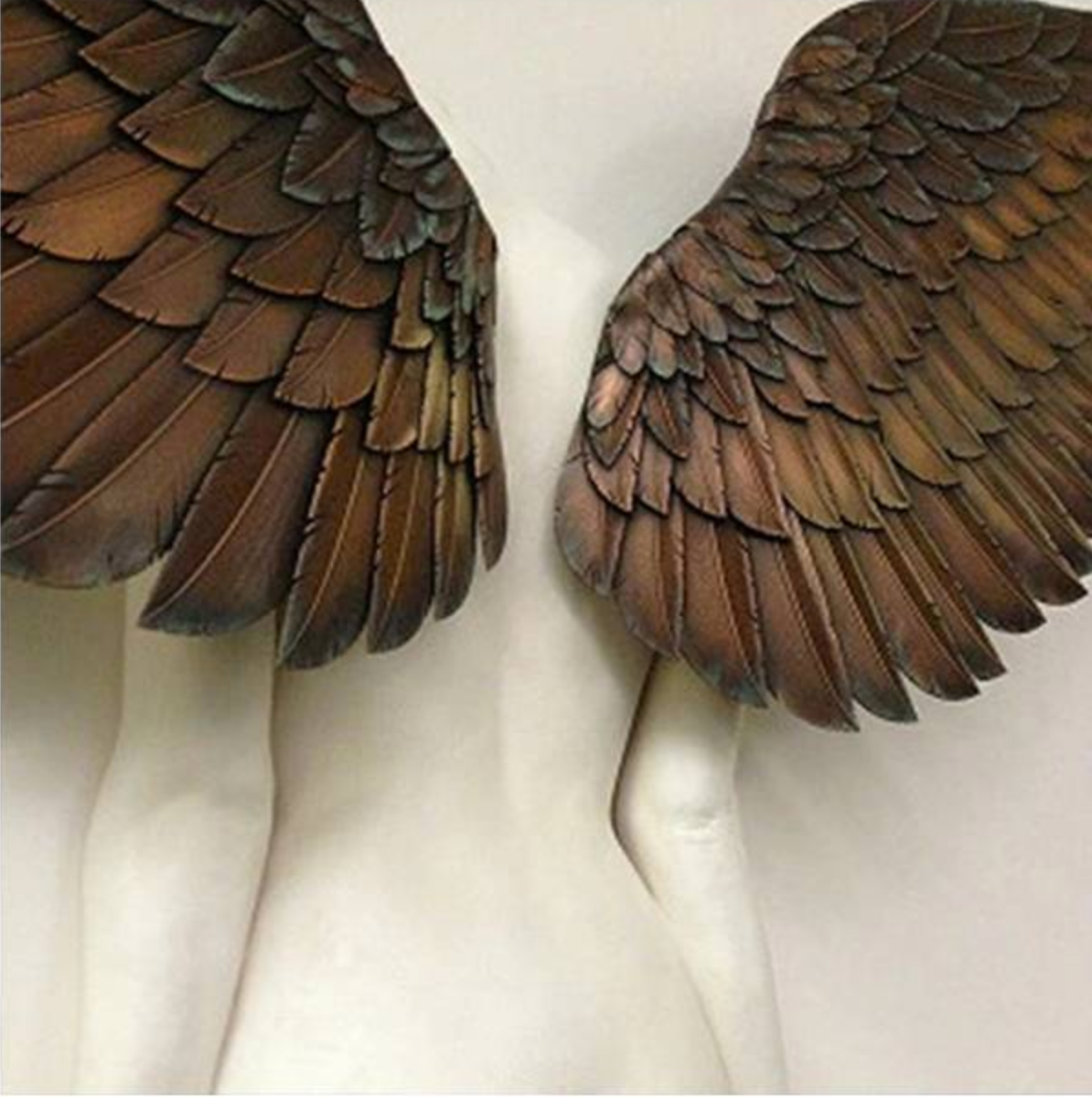 Elegant Wing Art - Frihet och Skönhet Carvallo