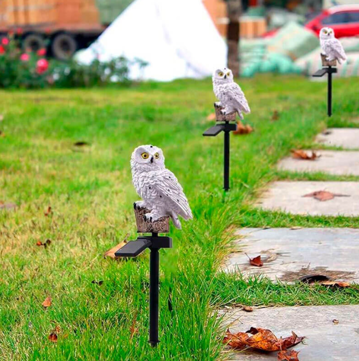 Solar-Uggla Trädgårdslampa Carvallo