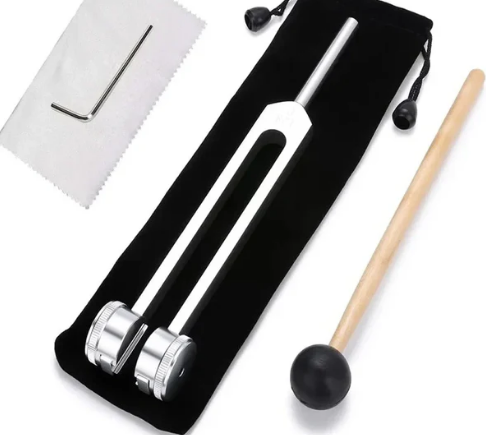 Stämapparatsverktyg för ljudläkning Carvallo