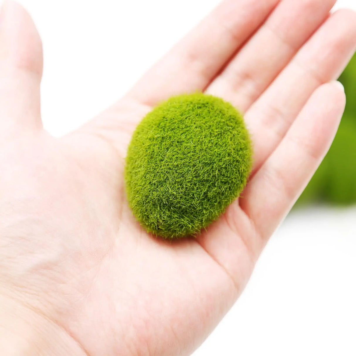 Carvallo MossArt Deko-mossstenar 10-pack | Realistiska mossbollar | För blomkrukor, DIY, featrädgårdar & inredningsidéer | Lätta & Mångsidiga Carvallo