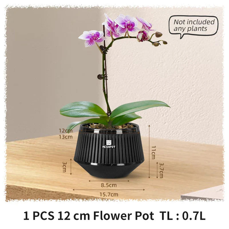 Carvallo Orchid Pot | Ventilerad planteringskruka med dräneringshål | 12 cm | Robust PP-material för inomhus och utomhus Carvallo