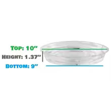 Carvallo växtunderlägg 10-pack Transparent | I 15 cm, 20 cm & 25 cm | BPA-fri & Mångsidig | För inomhusväxter & Hemmet Carvallo