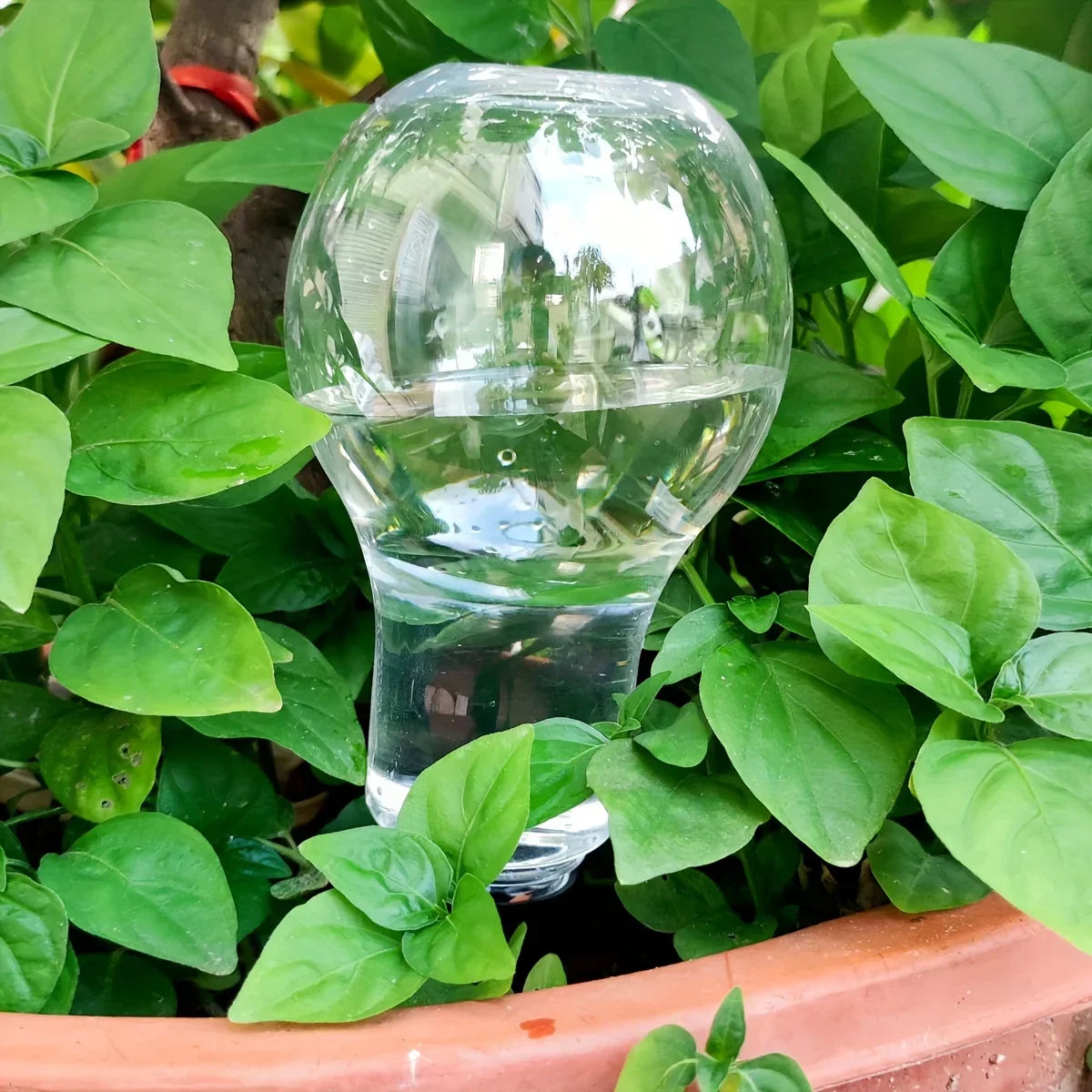 Carvallo AquaSpike | Automatisk växtvattnare | 320 ml | För rum- & balkongväxter Carvallo